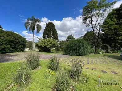 Fazenda / Sítio / Chácara com 4 Quartos à venda, 2000m² no Paloma, Colombo