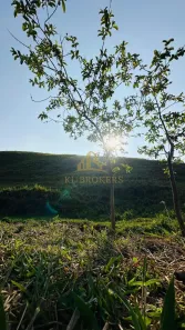 Terreno / Lote / Condomínio à venda, 400m² no Nossa Senhora do Amparo, Barra Mansa