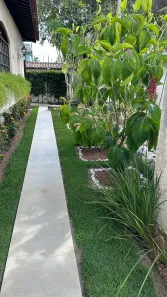 Casa com 4 Quartos para alugar, 170m² no Jardim Tavares, Campina Grande