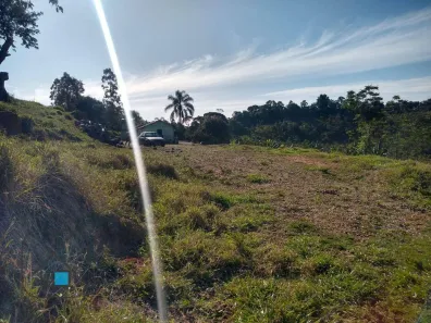 Fazenda / Sítio / Chácara com 4 Quartos à venda, 140m² no Freguesia da Escada, Guararema