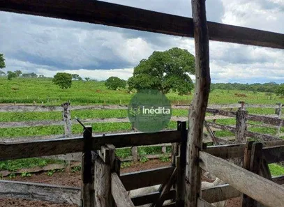 Fazenda / Sítio / Chácara à venda, 11625075m² no , Paranã
