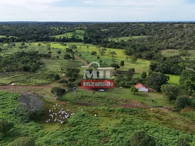 Fazenda / Sítio / Chácara com 3 Quartos à venda, 500m² no Setor Central, Gurupi