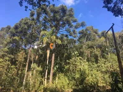 Fazenda / Sítio / Chácara com 1 Quarto à venda, 100m² no , Contenda