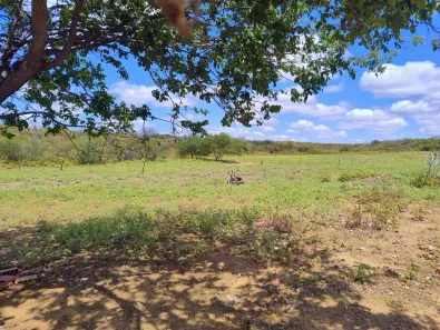 Fazenda / Sítio / Chácara com 2 Quartos à venda, 114m² no Gercino Coelho, Petrolina