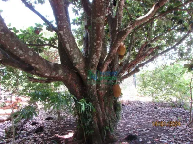Fazenda / Sítio / Chácara com 3 Quartos à venda, 6m² no Jardim Porangaba, Águas de São Pedro
