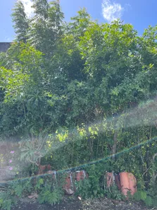 Terreno / Lote / Condomínio à venda, 160m² no Vila de Abrantes (Abrantes), Camaçari