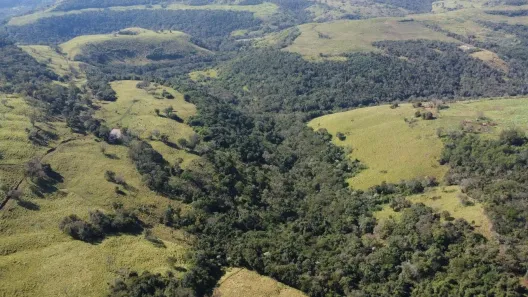 com 1 Quarto à venda, 1080094m² no , Guaraniaçu