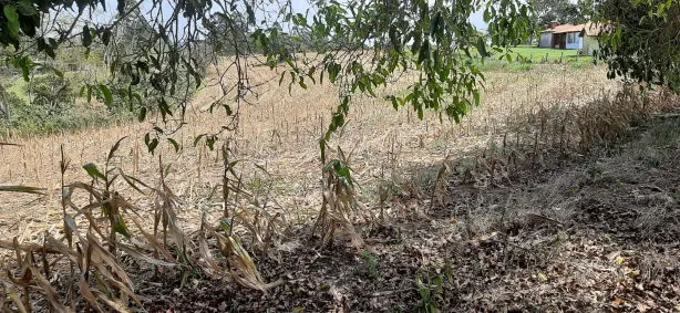 Fazenda / Sítio / Chácara com 3 Quartos à venda, 150m² no , Sarapuí