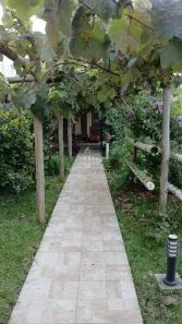 Casa com 3 Quartos à venda, 480m² no Jardim Eugenia Maria, Campina Grande do Sul