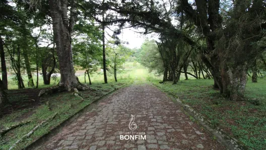 Fazenda / Sítio / Chácara à venda, 86000m² no Cachoeira de São José, São José dos Pinhais