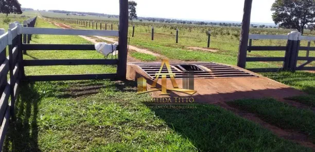 Fazenda / Sítio / Chácara com 1 Quarto à venda, 100m² no Centro, Campo Grande