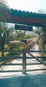 Fazenda / Sítio / Chácara com 7 Quartos à venda, 70000m² no Mantiquira, Duque de Caxias