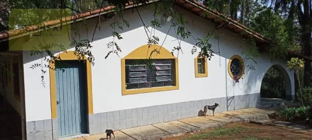 Fazenda / Sítio / Chácara com 3 Quartos à venda, 10570m² no , Piedade