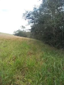 Fazenda / Sítio / Chácara à venda, 48m² no Jardim Flórido, Capivari