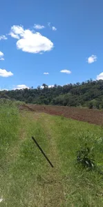 Fazenda / Sítio / Chácara à venda, 145200m² no Jardim Ouro verde, Guairaçá