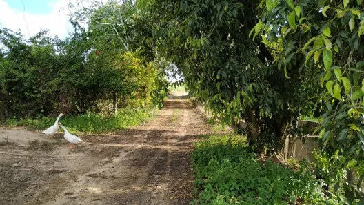Fazenda / Sítio / Chácara com 4 Quartos à venda, 91960m² no Centro, Capivari