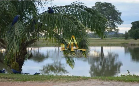 Fazenda / Sítio / Chácara com 2 Quartos à venda, 100m² no , Miranda