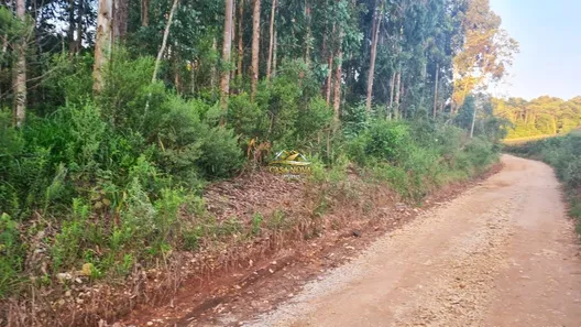 Fazenda / Sítio / Chácara com 1 Quarto à venda, 34550m² no Mato Dentro, Almirante Tamandaré