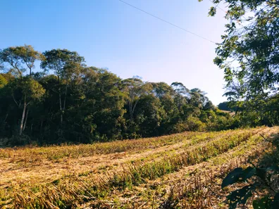 Fazenda / Sítio / Chácara à venda, 12700m² no Restinga Seca, Almirante Tamandaré