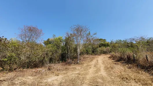 Terreno / Lote / Condomínio com 1 Quarto à venda, 20000m² no Zona Rural, Fortuna de Minas