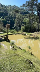 Fazenda / Sítio / Chácara com 5 Quartos à venda, 323000m² no , São Lourenço da Serra
