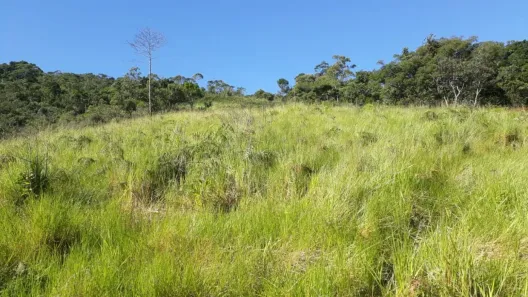 Fazenda / Sítio / Chácara com 1 Quarto à venda, 290000m² no , Rio Bonito