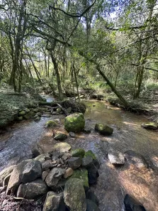 Fazenda / Sítio / Chácara com 5 Quartos à venda, 27500m² no Zona Rural, Campo Magro