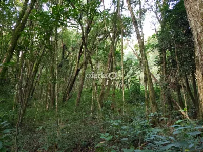 Fazenda / Sítio / Chácara à venda, 21381m² no Área Rural de Araucária, Araucária