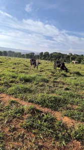 Fazenda / Sítio / Chácara à venda, 55000m² no Arapoanga, Brasília