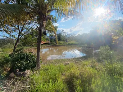 Fazenda / Sítio / Chácara com 3 Quartos à venda, 25000m² no , Taquaraçu de Minas