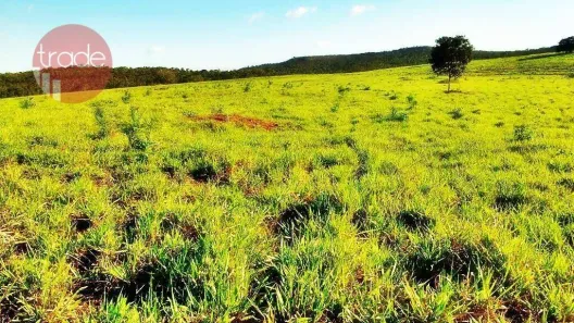 Fazenda / Sítio / Chácara com 2 Quartos à venda, 15800000m² no Setor Central, Pedro Afonso