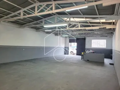 Galpão / Depósito / Armazém à venda, 276m² no Alto Cafezal, Marília