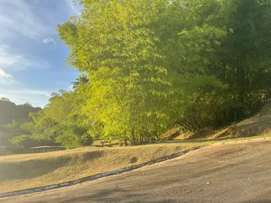 Terreno / Lote / Condomínio à venda, 435m² no Catu de Abrantes (Abrantes), Camaçari