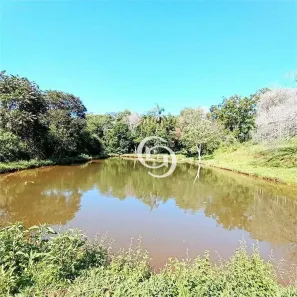 Fazenda / Sítio / Chácara com 1 Quarto à venda, 39970m² no Universitário, Cascavel