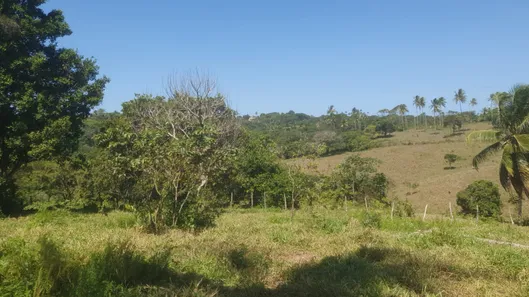 Terreno / Lote / Condomínio à venda, 250m² no Monte Gordo (Monte Gordo), Camaçari