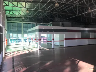 Galpão / Depósito / Armazém para alugar, 3100m² no Vila Bandeirantes, Araçatuba