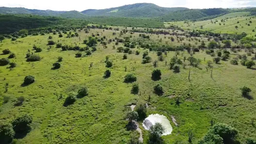 Fazenda / Sítio / Chácara à venda, 2180000m² no Área Rural de Gravatá, Gravatá