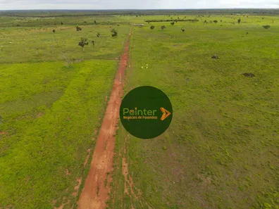 Fazenda / Sítio / Chácara com 3 Quartos à venda, 49029200m² no , Lagoa da Confusão