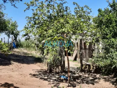 Fazenda / Sítio / Chácara com 2 Quartos à venda, 200m² no Chácara Santa Cecília, Caçapava