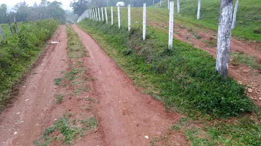 Fazenda / Sítio / Chácara com 2 Quartos à venda, 151000m² no Dos Borges, Embu-Guaçu