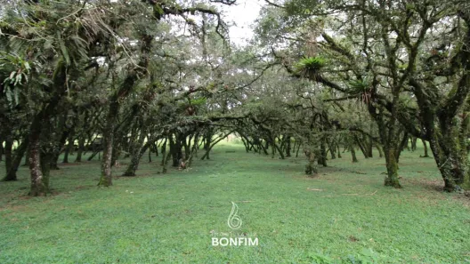 Fazenda / Sítio / Chácara à venda, 86000m² no Cachoeira de São José, São José dos Pinhais