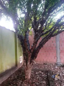 Fazenda / Sítio / Chácara com 2 Quartos à venda, 1000m² no Estância Lago Azul (Ártemis), Piracicaba