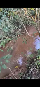 Fazenda / Sítio / Chácara com 2 Quartos à venda, 70000m² no , Brasília