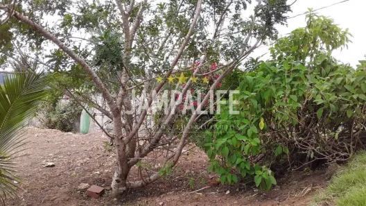 Terreno / Lote / Condomínio à venda, 609m² no Chã do Lindolfo, Bananeiras