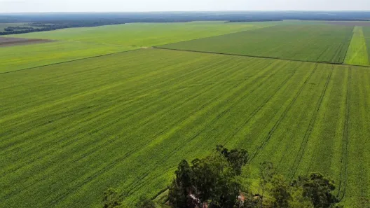Fazenda / Sítio / Chácara à venda, 2900m² no , Pedro Afonso