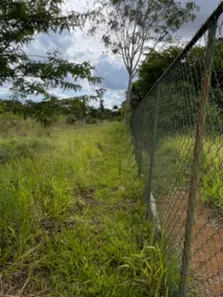 Terreno / Lote / Condomínio à venda, 20000m² no Park Way, Brasília