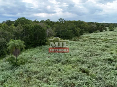 Fazenda / Sítio / Chácara com 2 Quartos à venda, 500m² no Setor Central, Gurupi