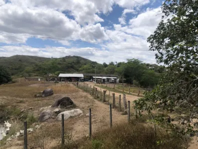 Fazenda / Sítio / Chácara com 3 Quartos à venda, 160000m² no Passira, Passira