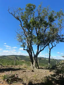 Fazenda / Sítio / Chácara com 4 Quartos à venda, 500m² no Rio de Una, Ibiúna