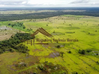 Fazenda / Sítio / Chácara à venda, 1m² no , Formoso do Araguaia